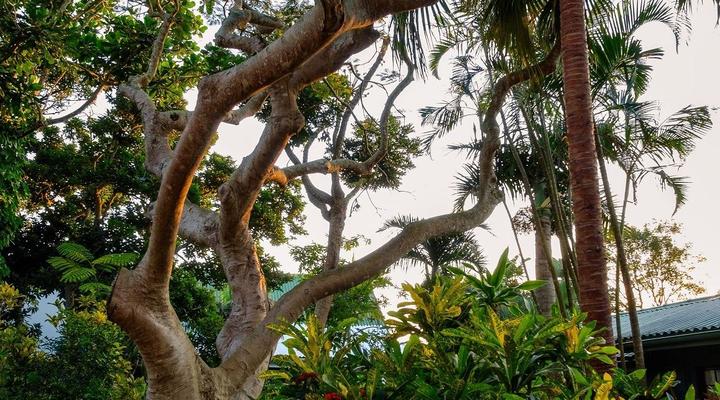 2 Night Eco Therapy St Lucia Eco Lodge Package