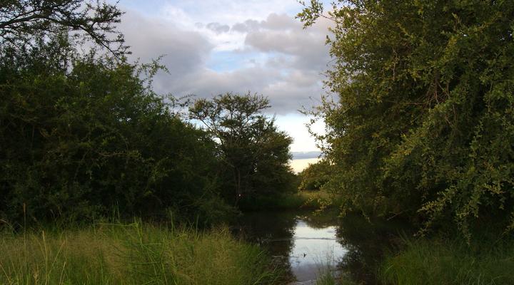 Hoedspruit Wildlife Estate Guesthouse 