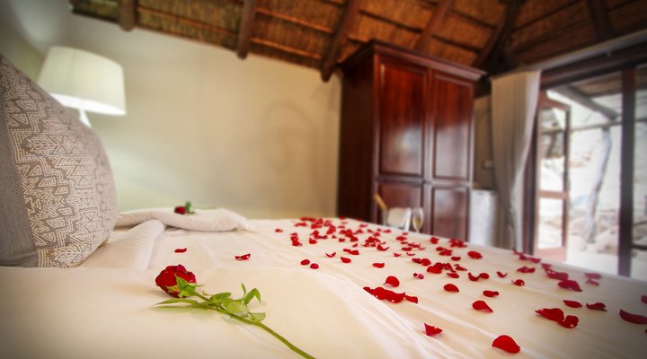 3 Night Elphant Adventure Package