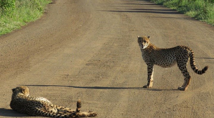 2 Night Phumula Kruger Package