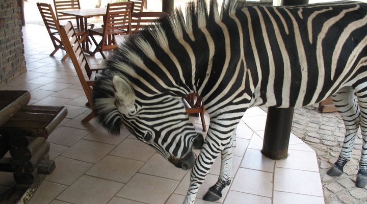 2 Night Phumula Kruger Package