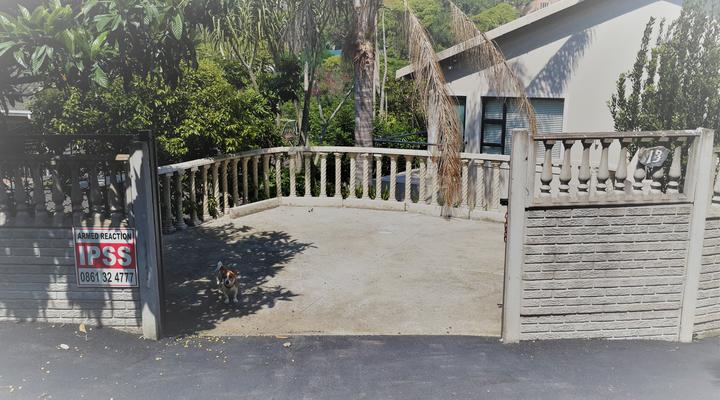 Kingfisher By The Sea