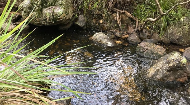 Baviaanskloof Exclusive Getaway