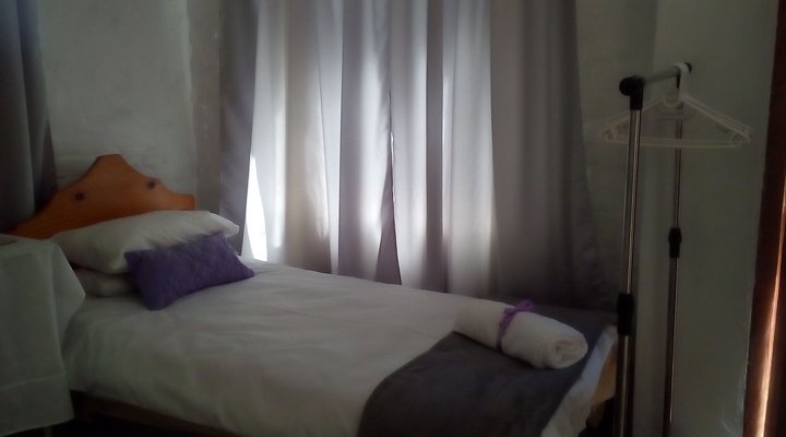 3 Lavenders