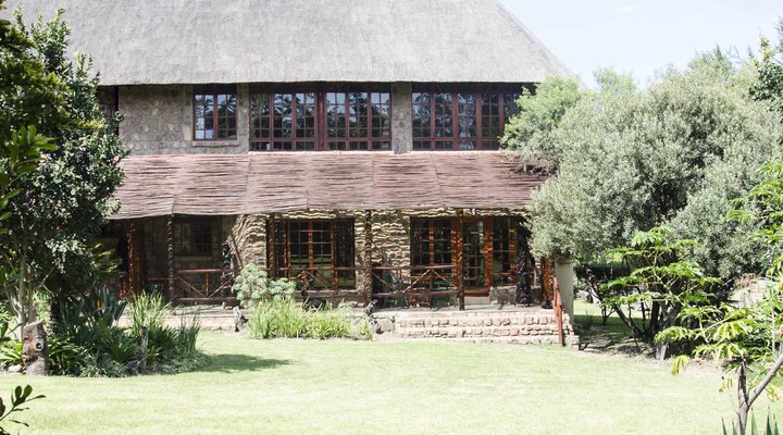 Lazy Lion Lodge