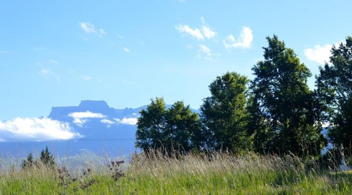 Wellstead House Gratitude Farm