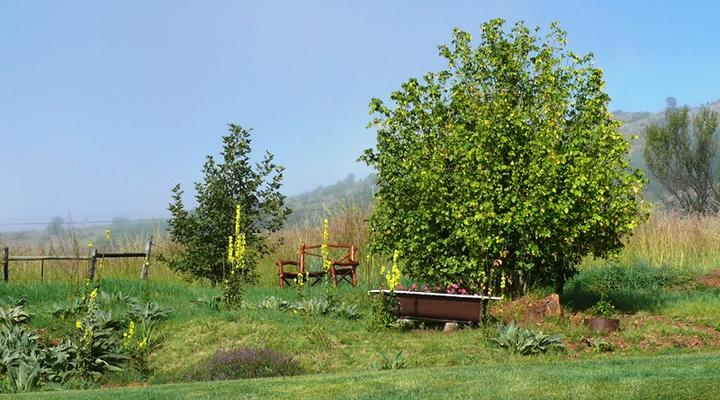 Vukuthu Self-Catering Cottage