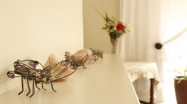 Fair Haven Guesthouse 
