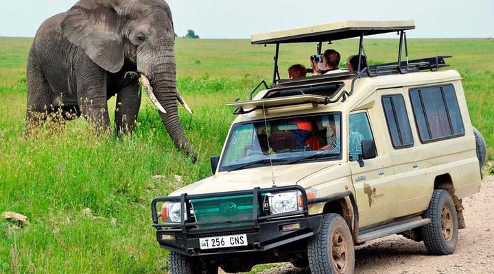 10 days Affordable Serengeti Migration & Beach Zanzibar Package