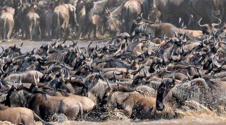 10 days Affordable Serengeti Migration & Beach Zanzibar Package