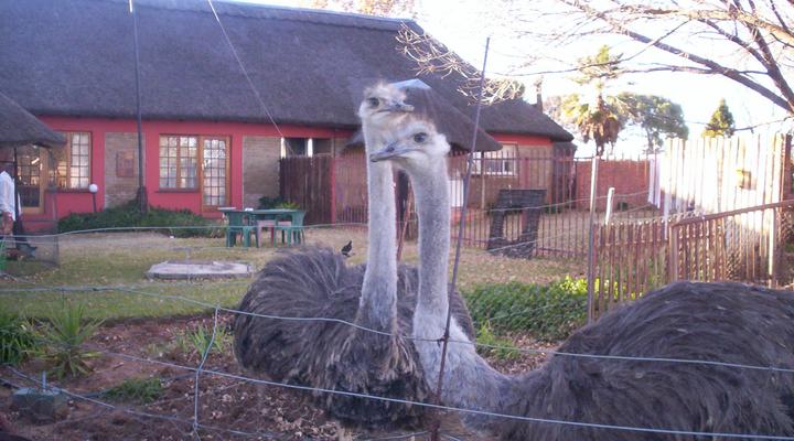 A la fin Country Ranch B&B