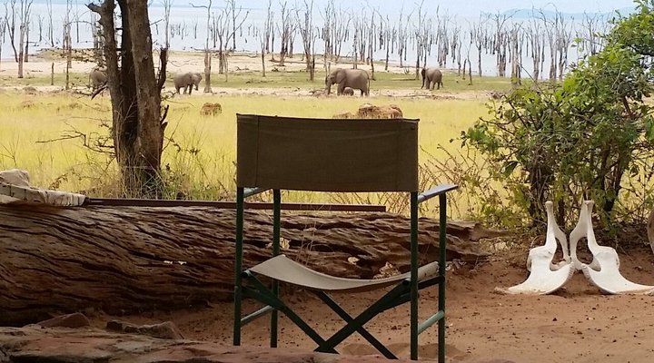 Rhino Safari Camp