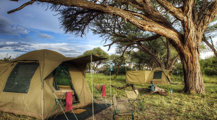 Safari Life Africa