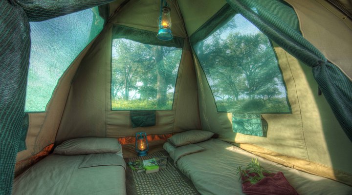 Safari Life Africa