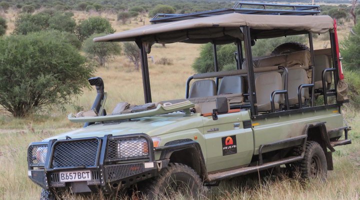 Safari Life Africa