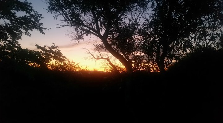 Khululeka Bushveld Guest Farm