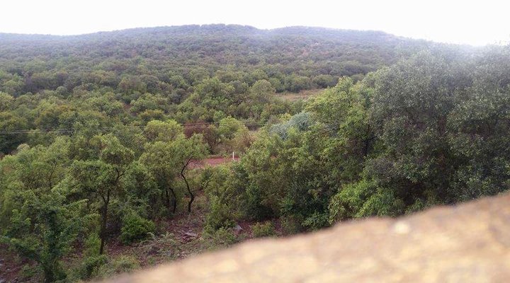 Khululeka Bushveld Guest Farm