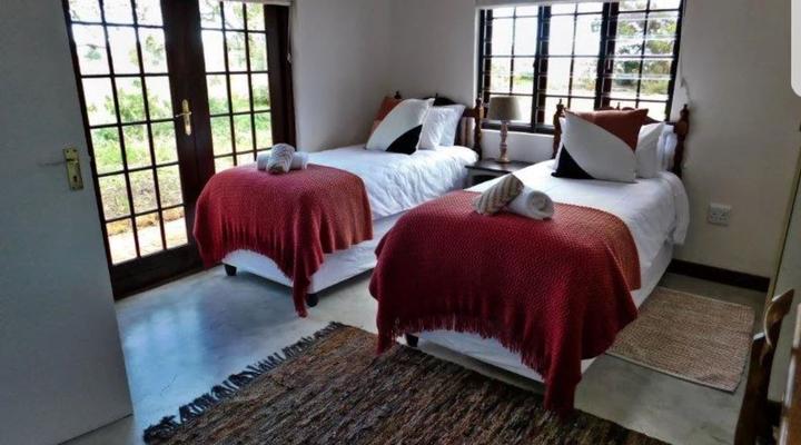 Stanford - The red rooster