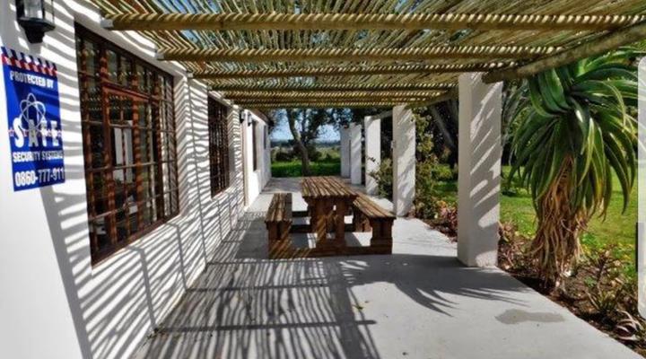 Stanford - The red rooster