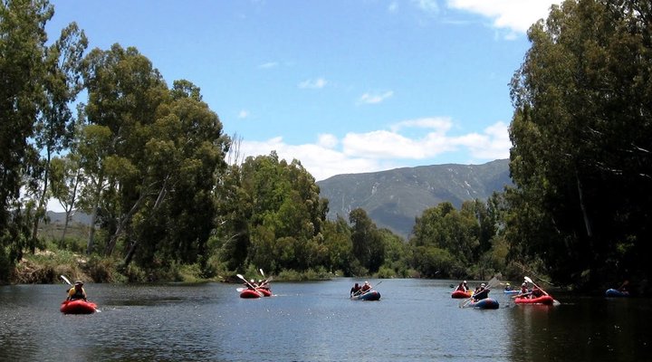 Robertson Backpackers