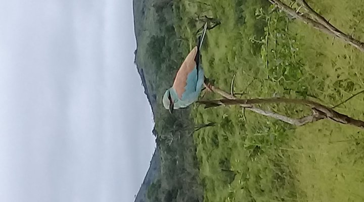 Hluhluwe Gate Safari Camp