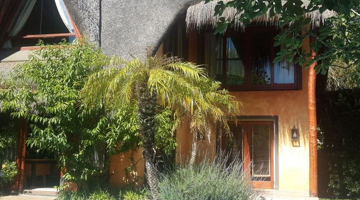 African Nest (Guest Suite)