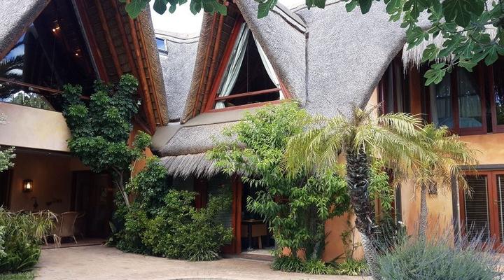 African Nest (Guest Suite)