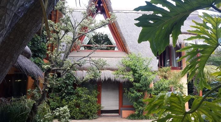 African Nest (Guest Suite)