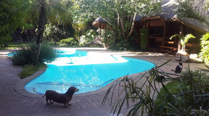 African Nest (Guest Suite)