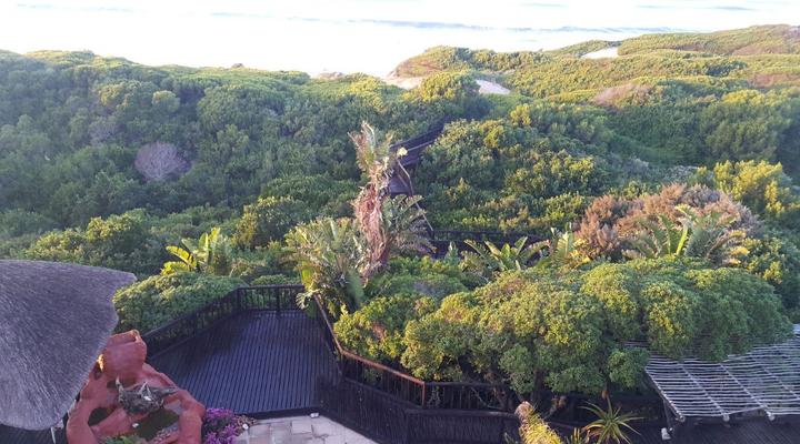 The beach house in Paradise Beach