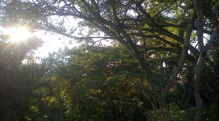 Albasini Inn at AAT&S