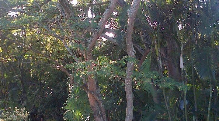 Albasini Inn at AAT&S