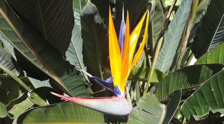 Albasini Inn at AAT&S