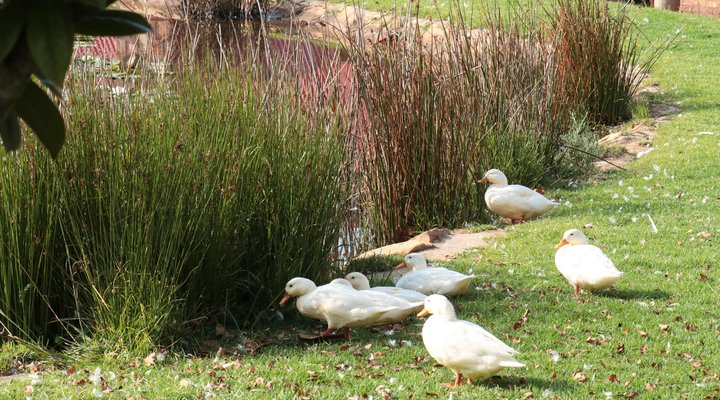 Time Cottage Dullstroom