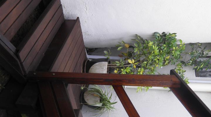 Sacred Space Retreat Studio Room