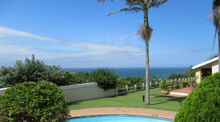 Dolphin View