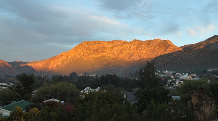 Pepper Tree, Montagu