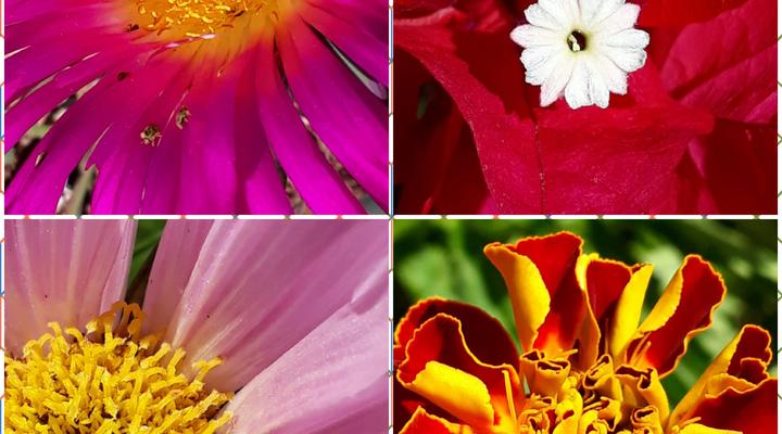 Room @ Irissa Sanctuary