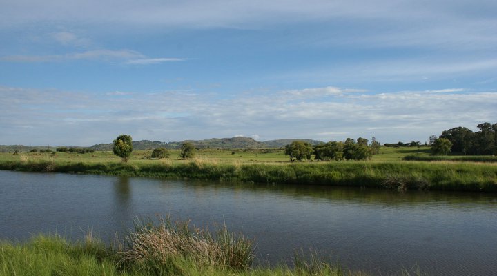 High-Side Tavern and Planters Lodge