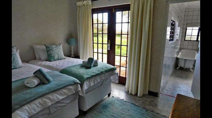 Stanford - The red rooster