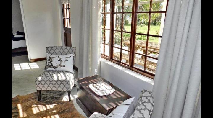 Stanford - The red rooster