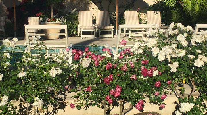 Constantia Valley Lodge