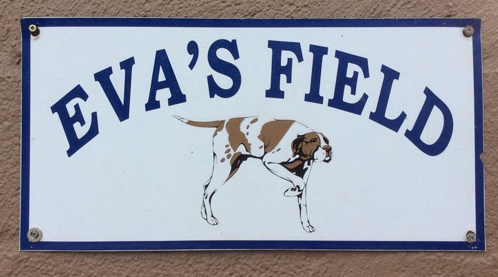 Eva's Field