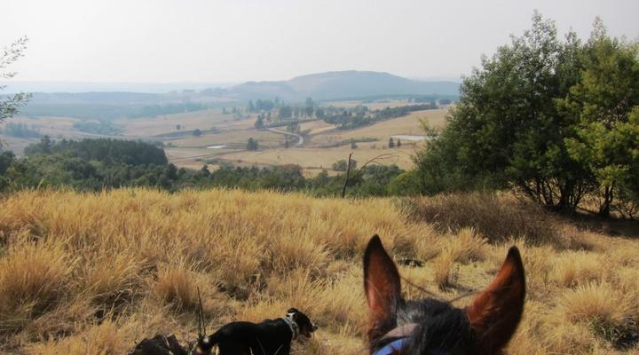 The Bed in the Shed at Stormy Hill