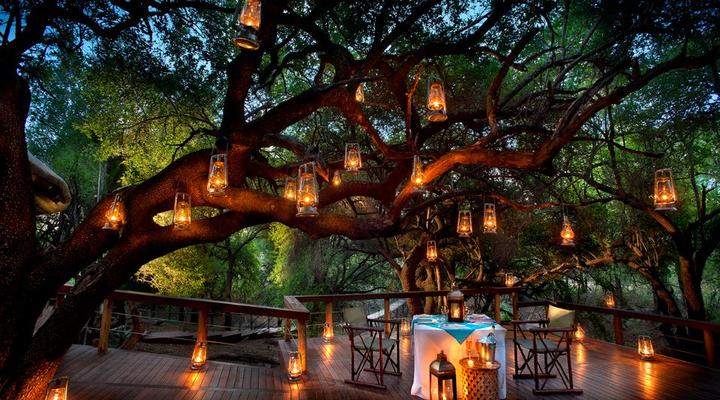 Jaci's Safari and Tree Lodges