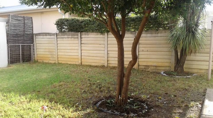 Skoenlapper Guest House