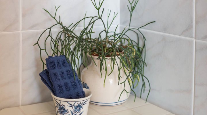 Villa Penelope at Funkey