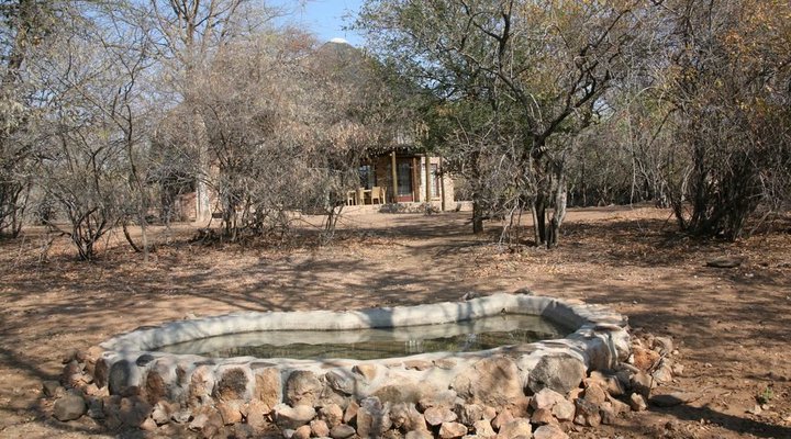 Jobelia Bush Villa