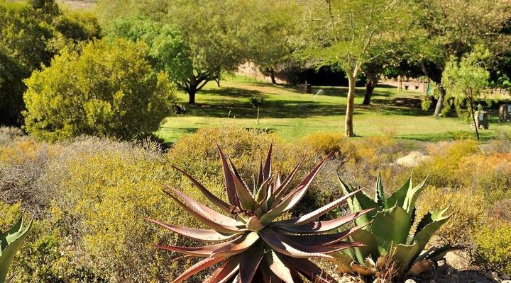 Badensfontein Cottages and Camping