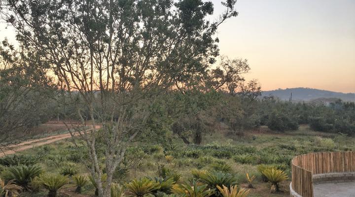 Featherbrook Cottage